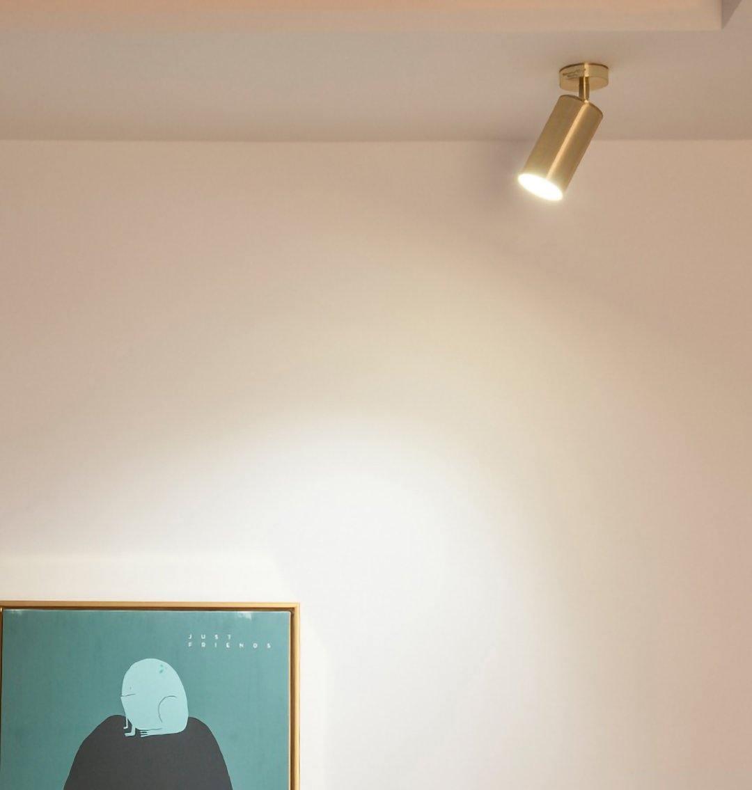 Rotatable Spotlight Wall Light