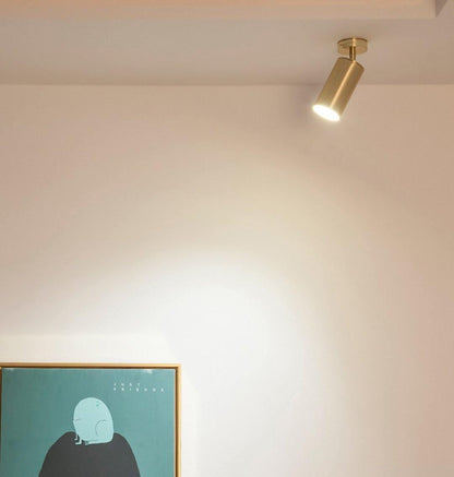 Rotatable Spotlight Wall Light