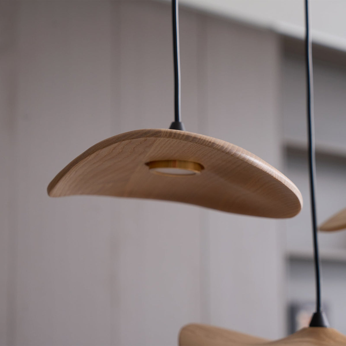 Empty Leaf Chandelier