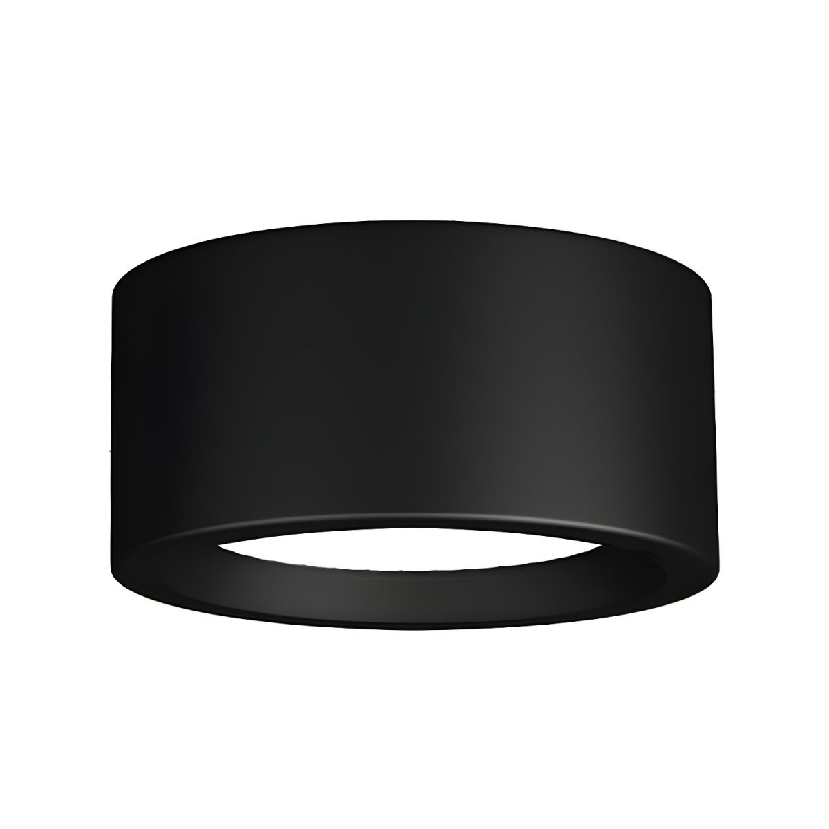 Ethan Surface Ceiling Light