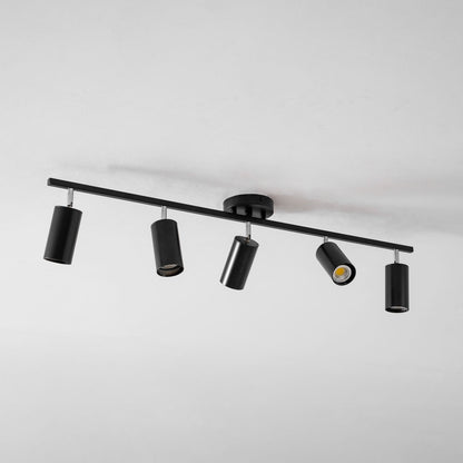 Evanna Ceiling Light
