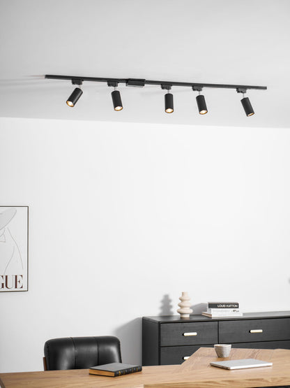 Gilded Rail Track Light