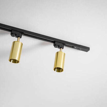 Gilded Rail Track Light