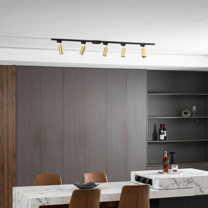 Gilded Rail Track Light
