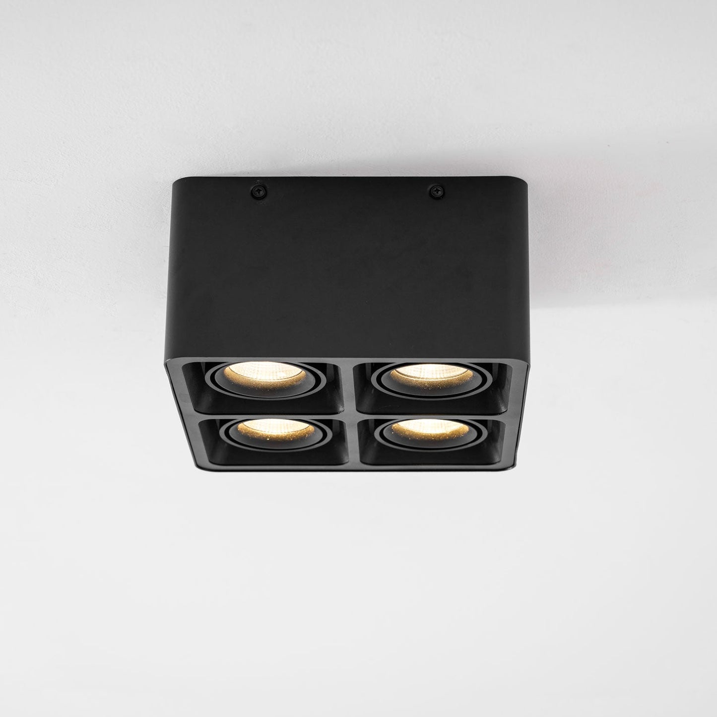Giyan Surface Spotlight