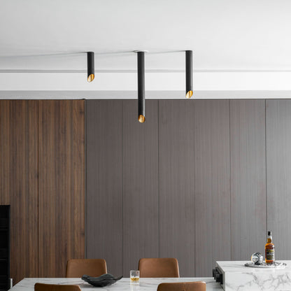 Hazel Tube Surface Downlight