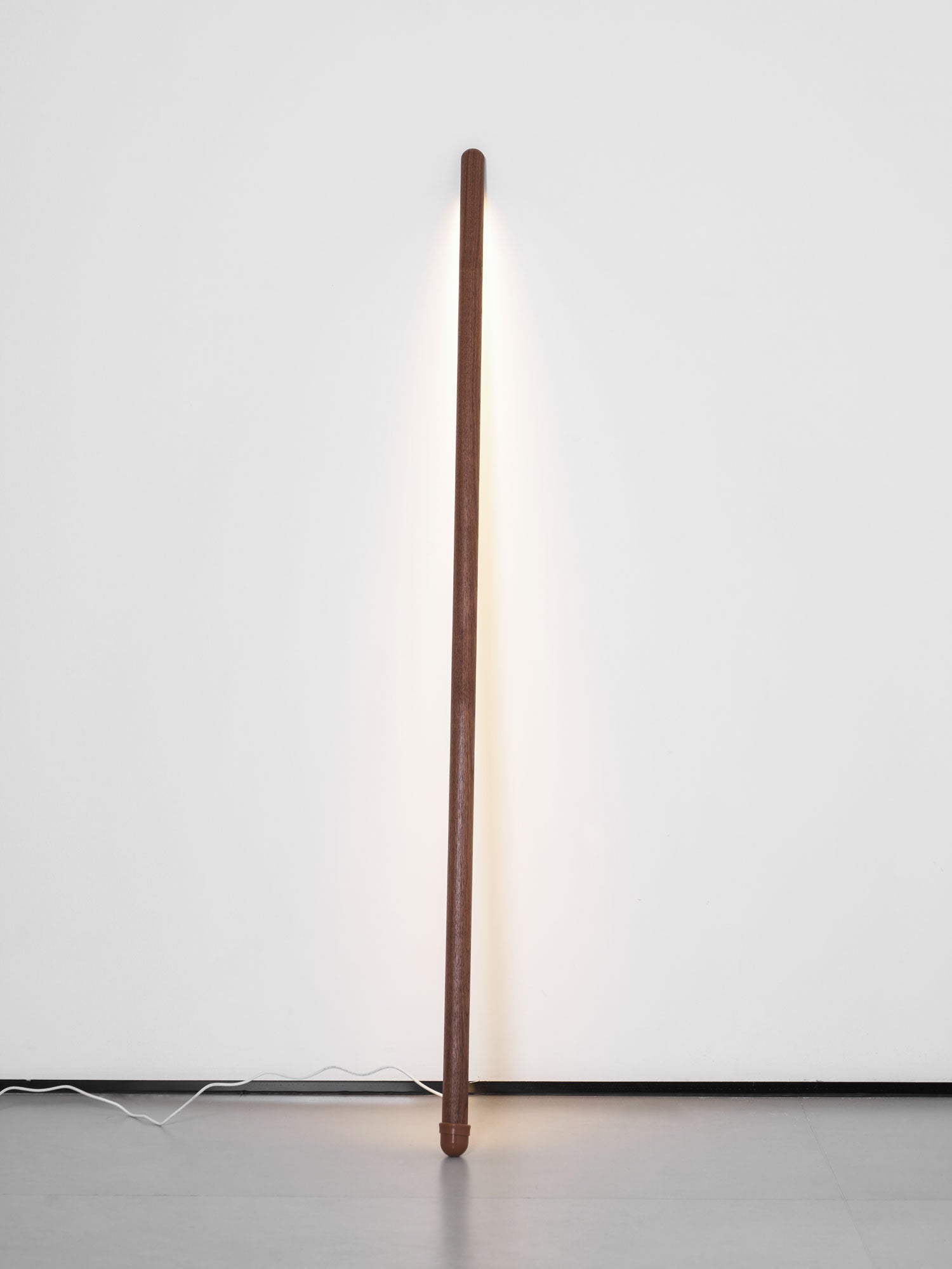 Line Assist Ambience Floor Lamp