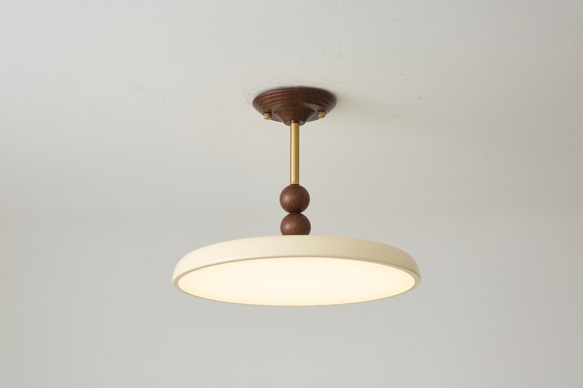 Liora Scallop Ceiling Light