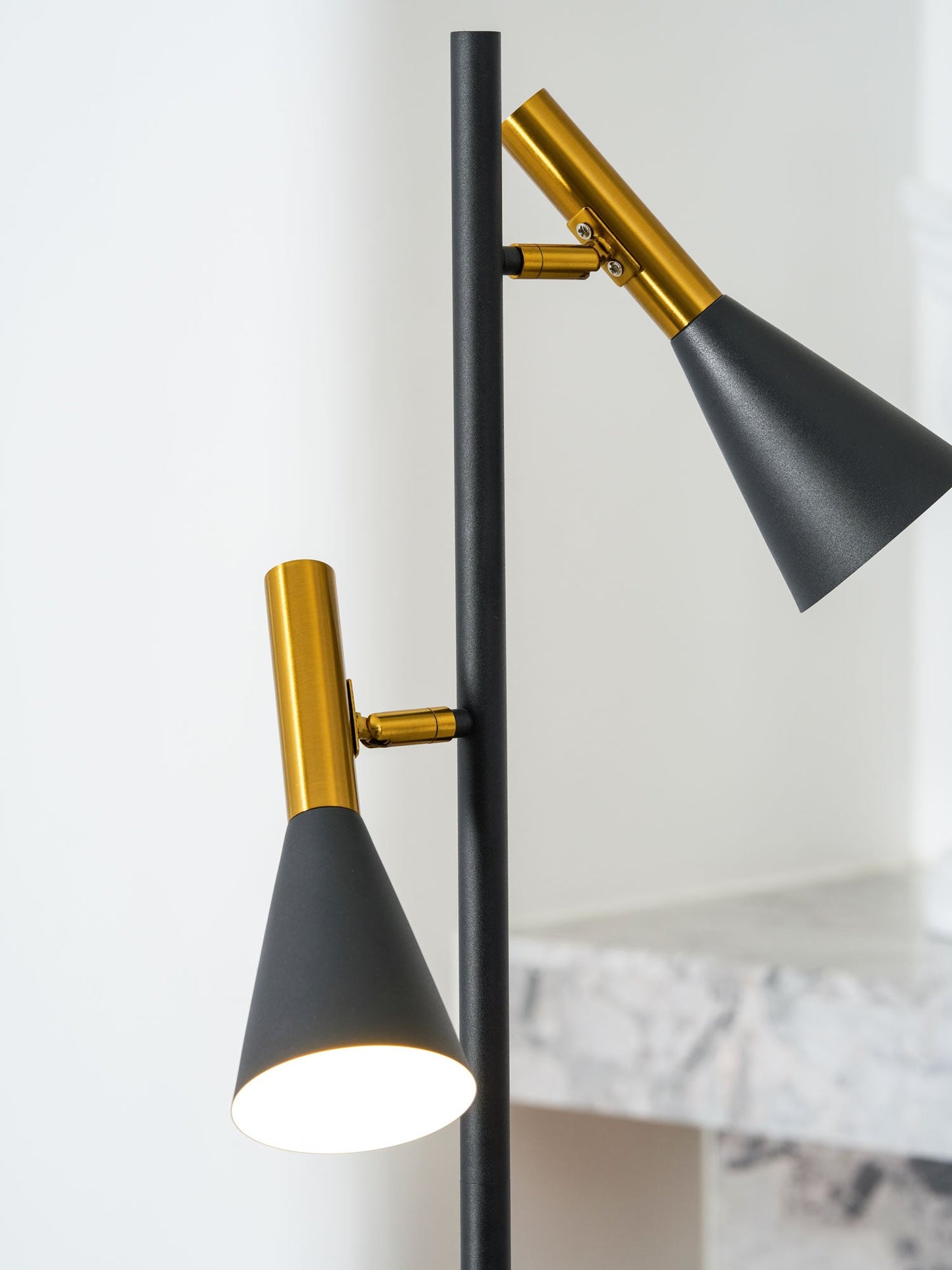 Lron Mouth Floor Lamp