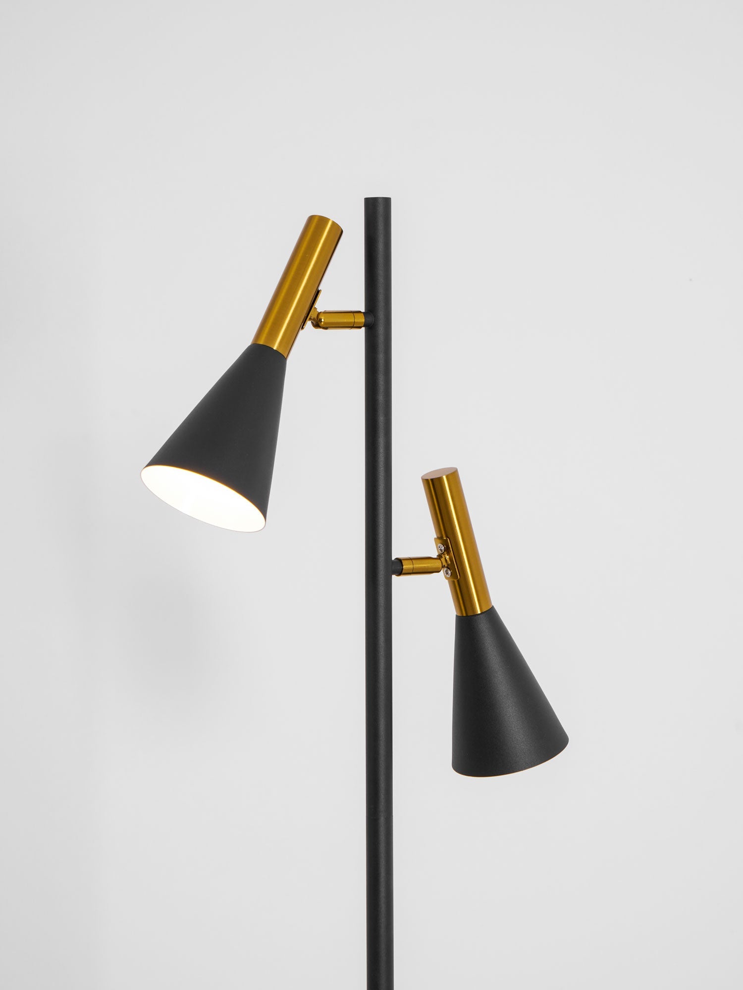 Lron Mouth Floor Lamp