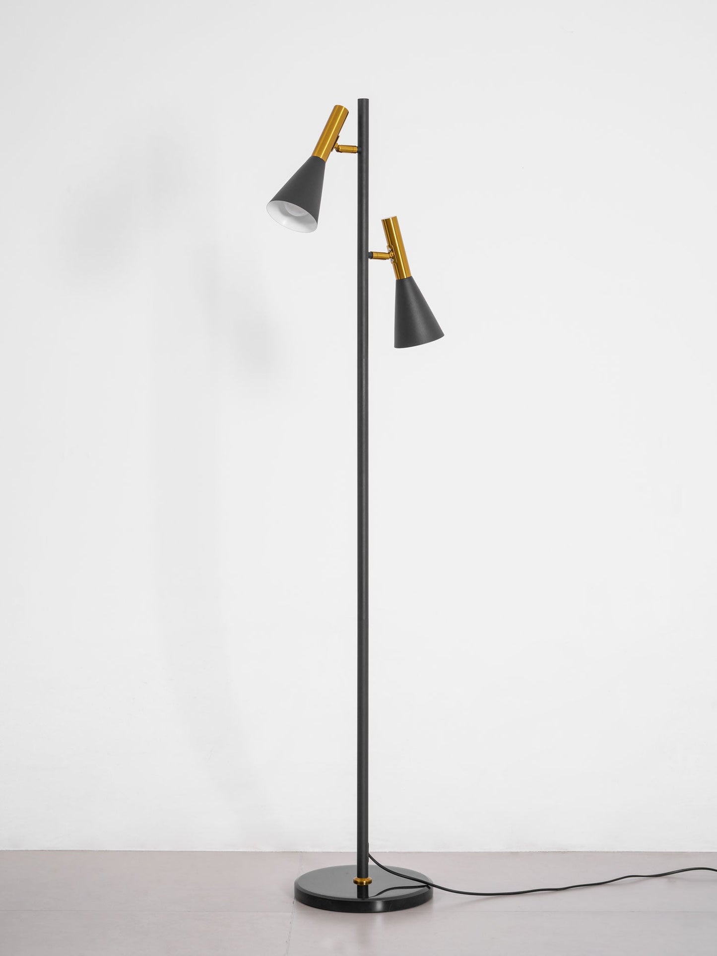Lron Mouth Floor Lamp