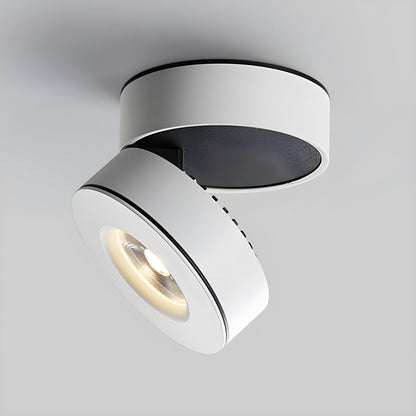 Lyric Adjustable Surface Downlight
