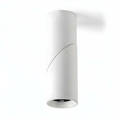 Maxwell Pivot Surface Downlight