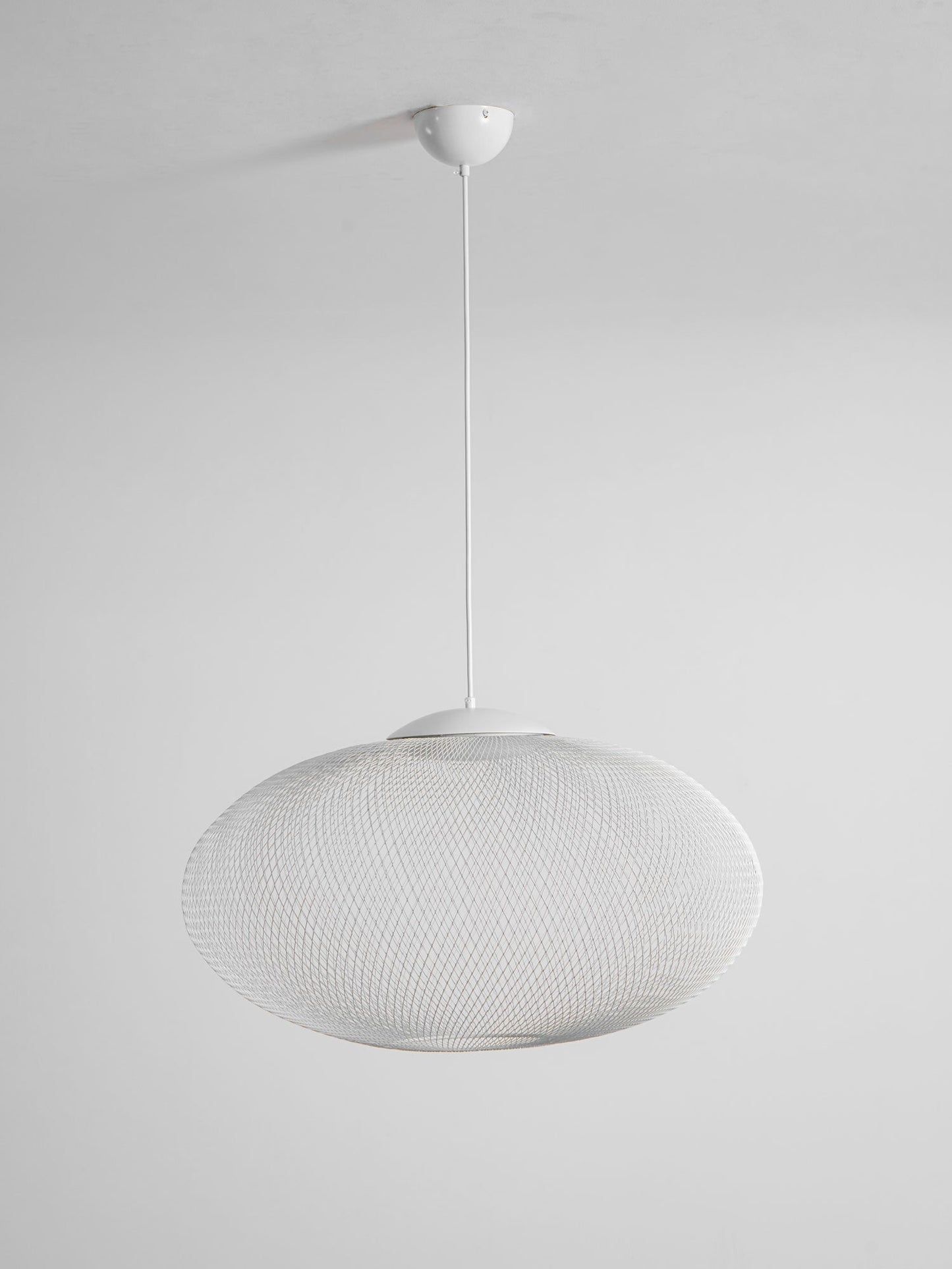 Metallic Meshwork Pendant Lamp