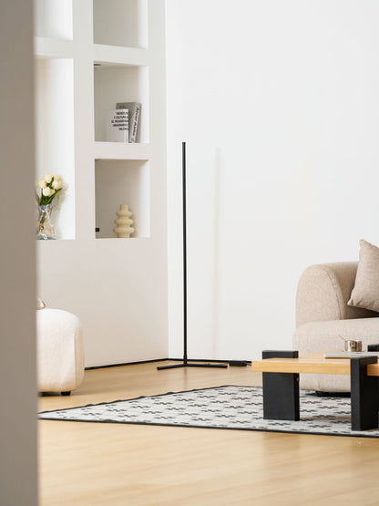 Minimalist LED Floor Lamp