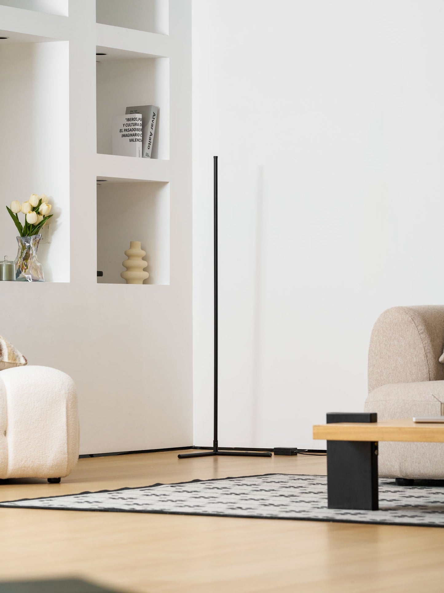 Minimalist LED Floor Lamp