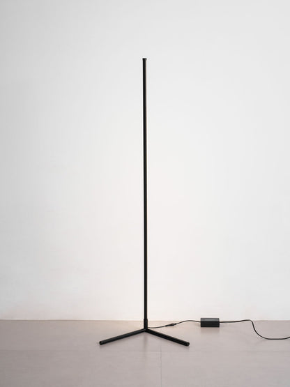 Minimalist LED Floor Lamp