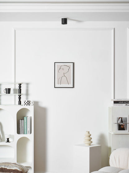 Modupoint Ceiling Light