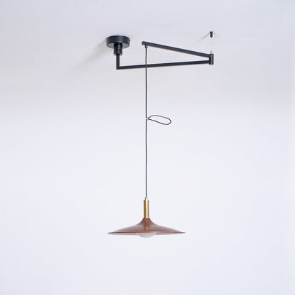 Crane Swing Arm Pendant Lamp