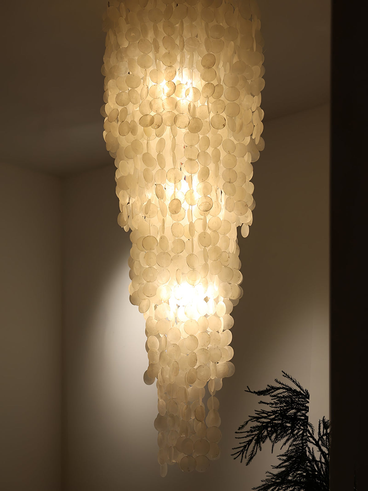 Nerida Shell Chandelier