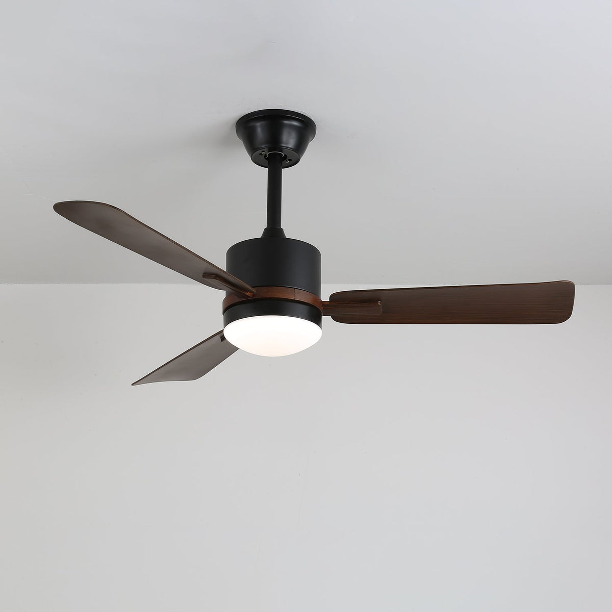 Nimora Ceiling Fan Light
