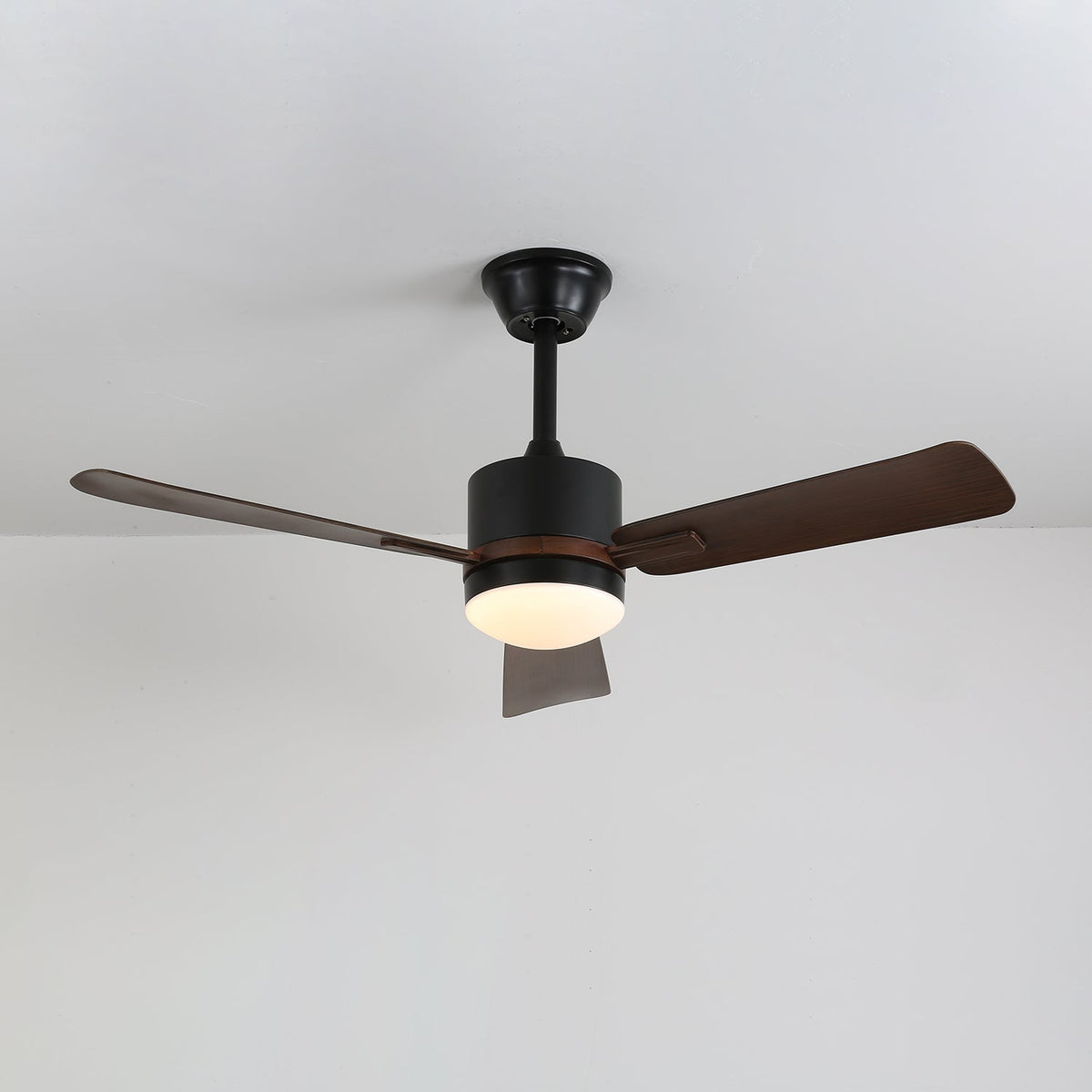 Nimora Ceiling Fan Light