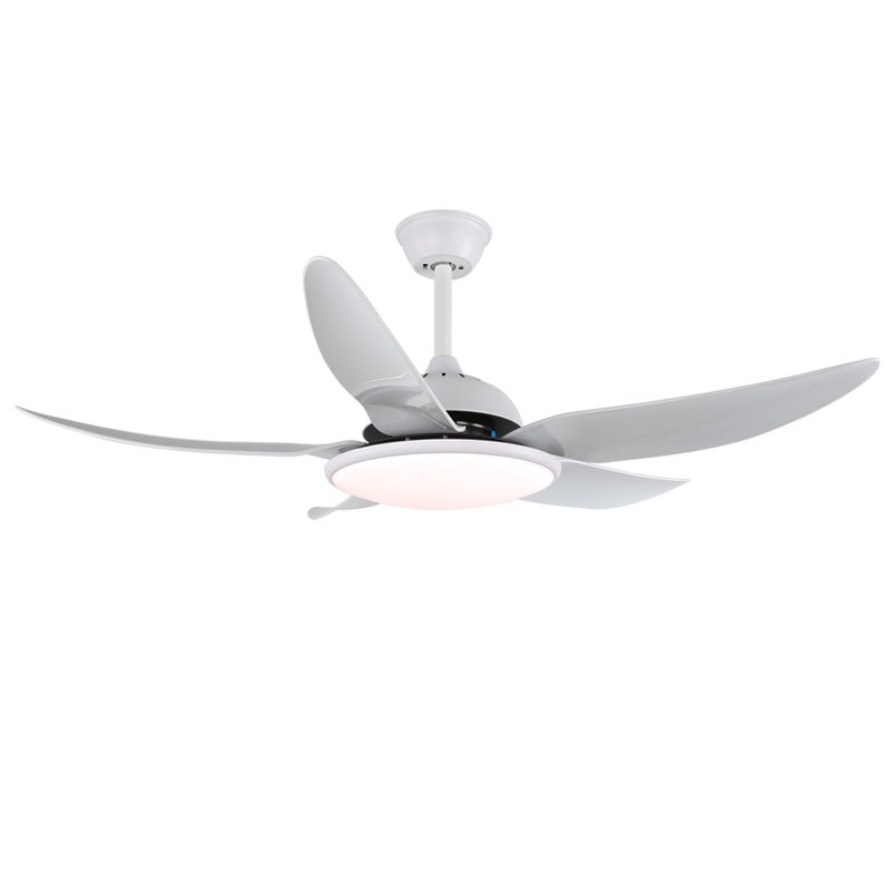 Noctura Ceiling Fan Light