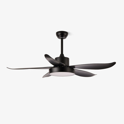 Noctura Glide Ceiling Fan Light