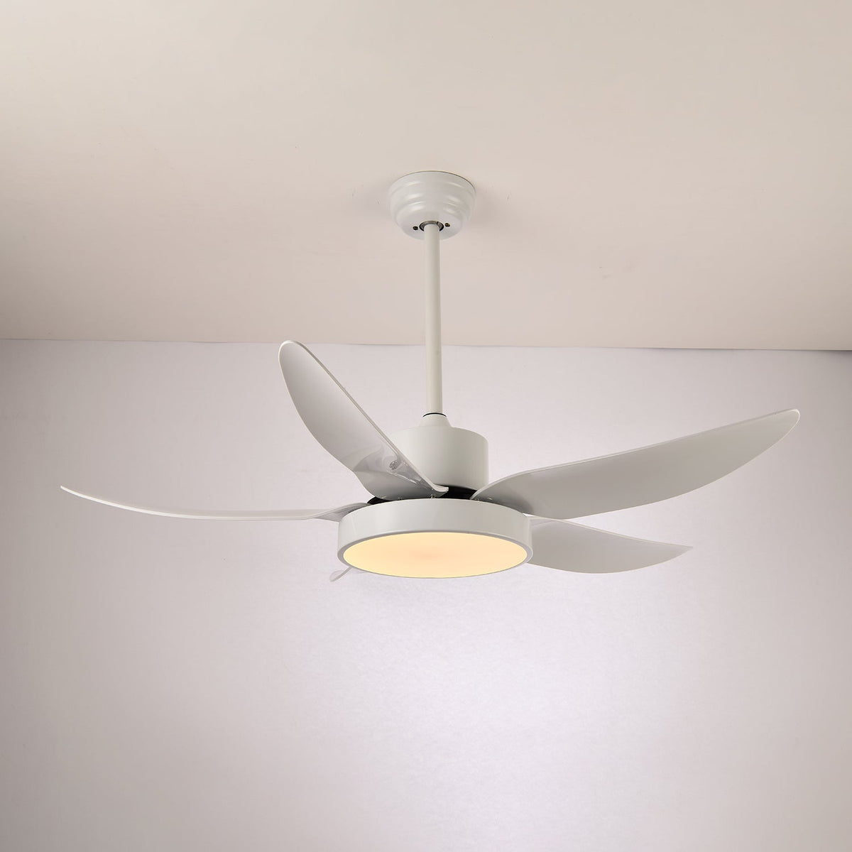 Noctura Glide Ceiling Fan Light