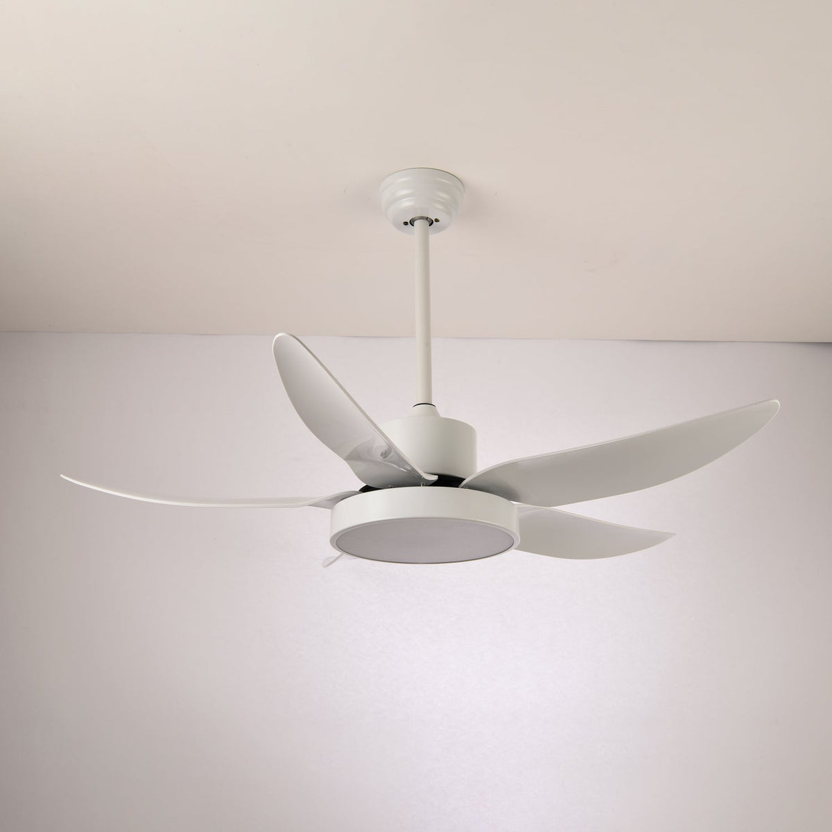 Noctura Glide Ceiling Fan Light