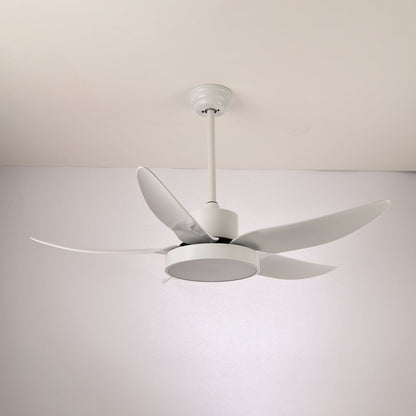 Noctura Glide Ceiling Fan Light
