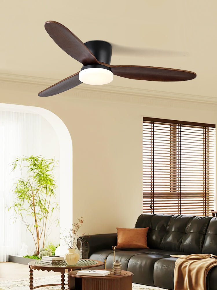 Nocturnus Ceiling Fan Light