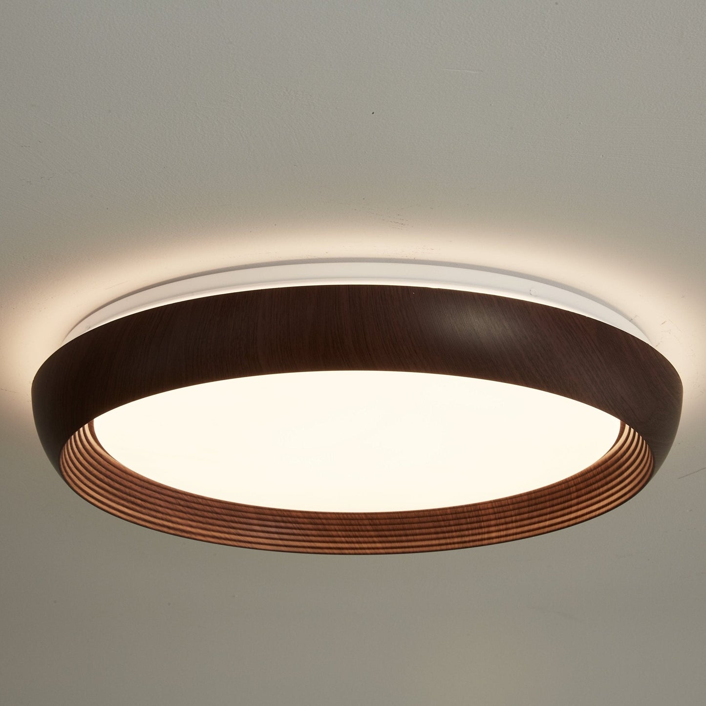 Novera Grain Ring Ceiling Light