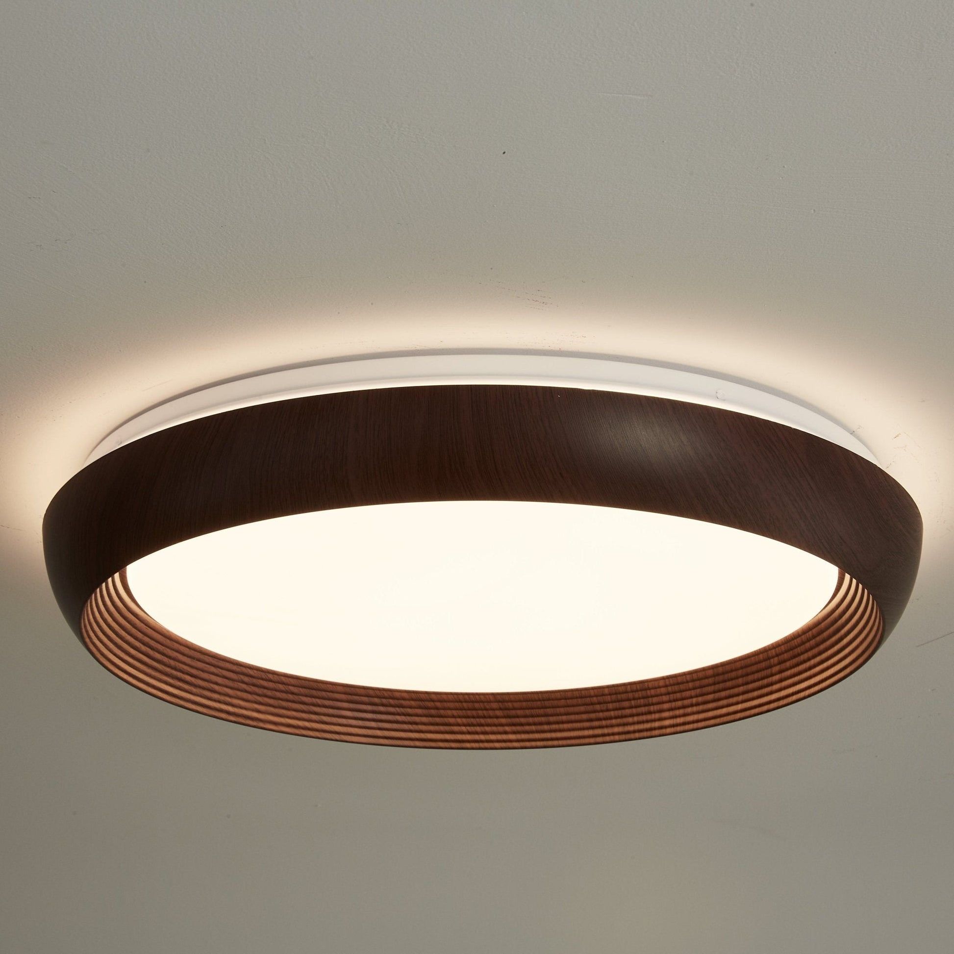Novera Grain Ring Ceiling Light