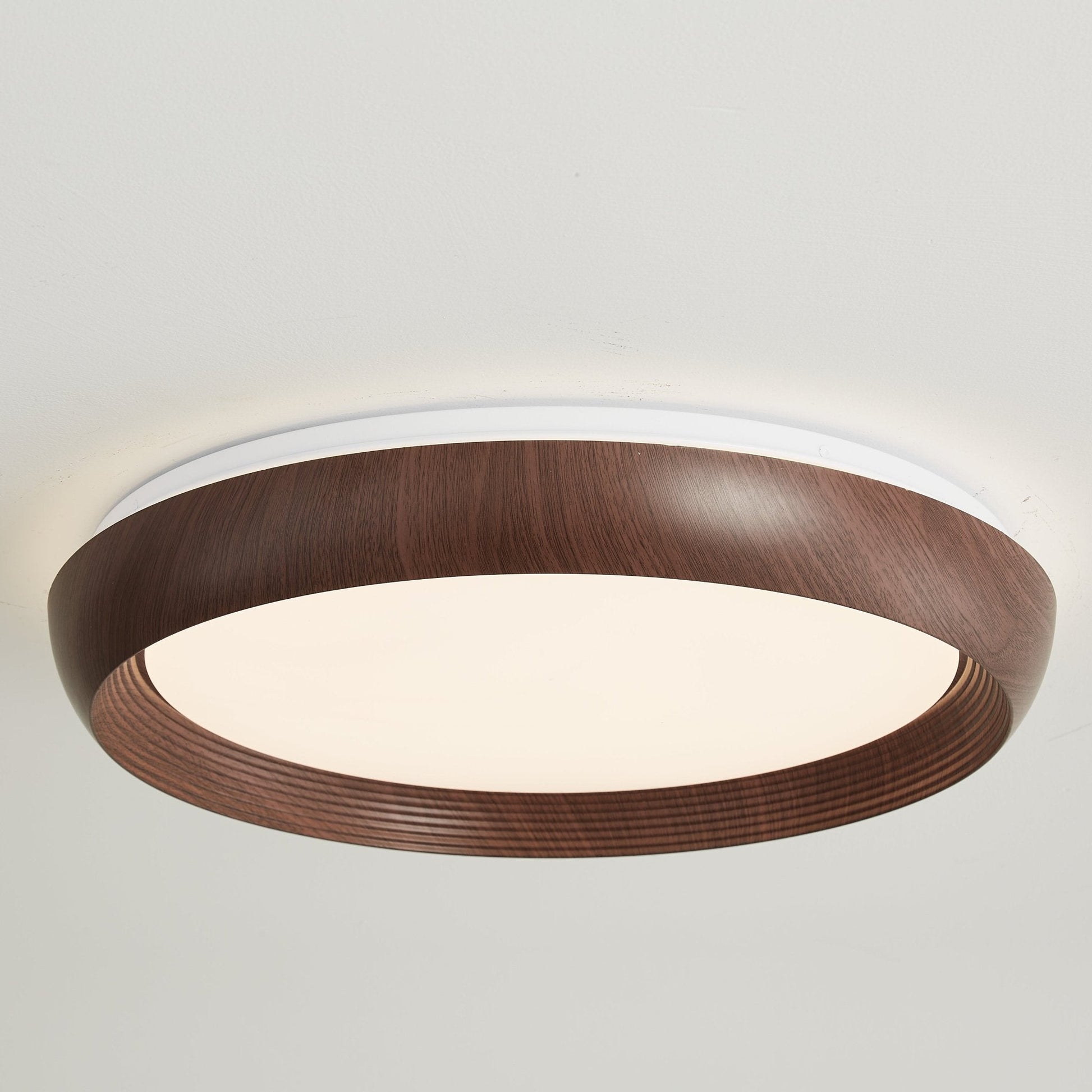 Novera Grain Ring Ceiling Light