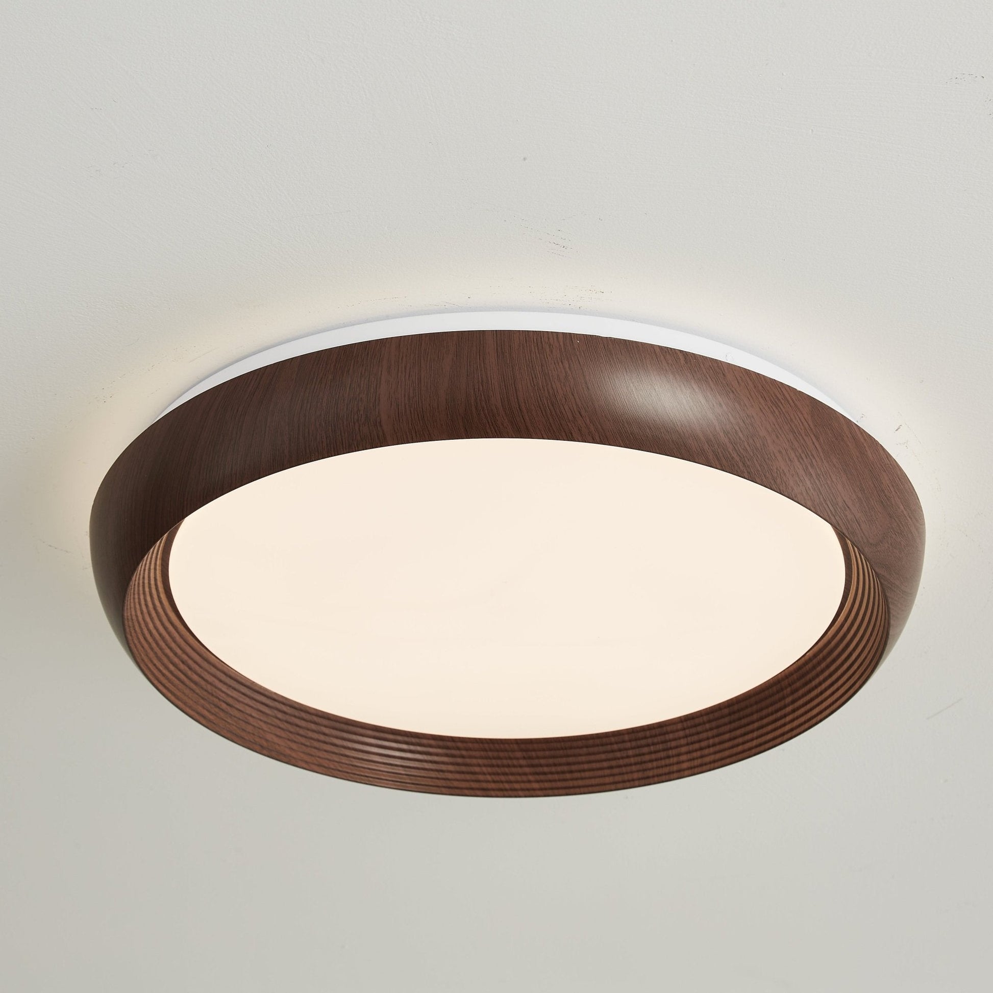 Novera Grain Ring Ceiling Light