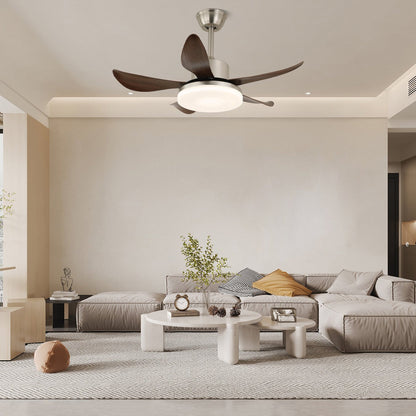 Oliver Ceiling Fan Light