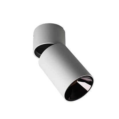 Oliver Tube Surface Downlight