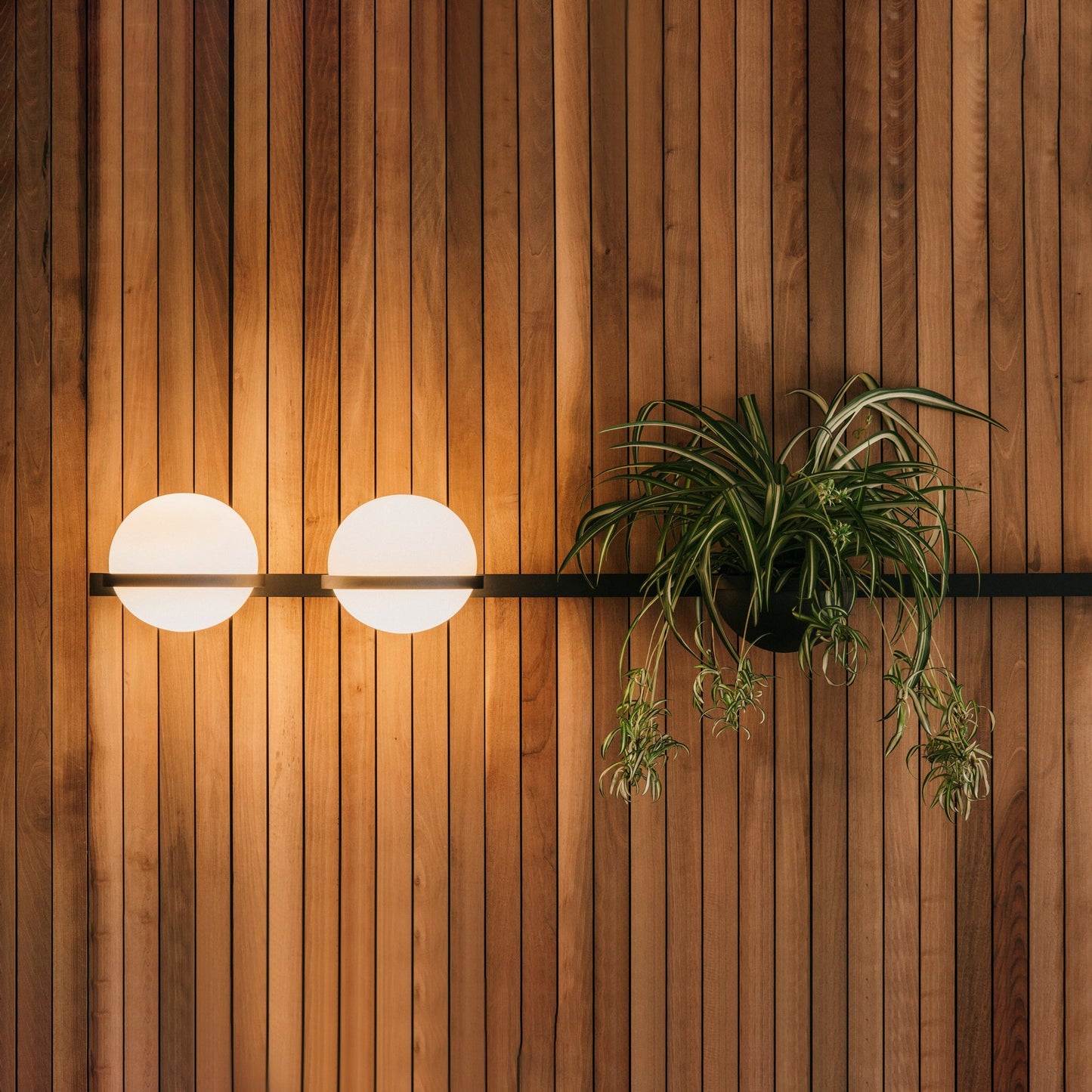 Solstice Orb Wall Light
