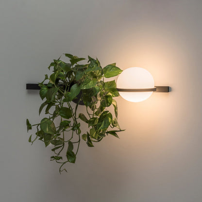 Solstice Orb Wall Light