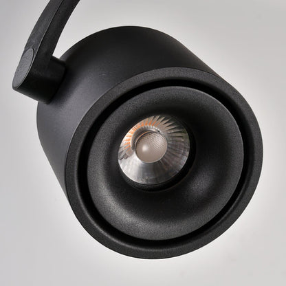 Paloma Ceiling Light