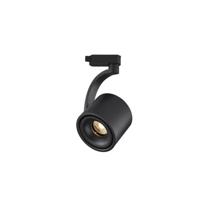 Paloma Ceiling Light