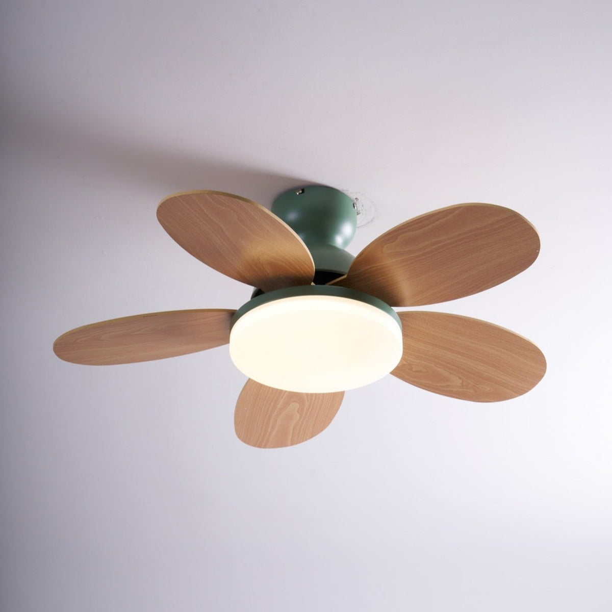 Petalo Ceiling Fan Light