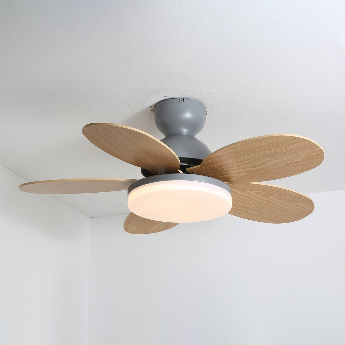 Petalo Ceiling Fan Light