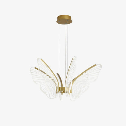 Phalaenopsis Chandelier