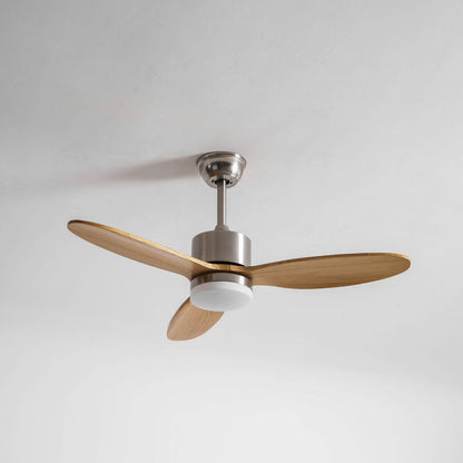Polaris Ceiling Fan Light