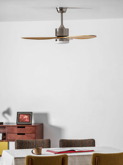 Polaris Ceiling Fan Light