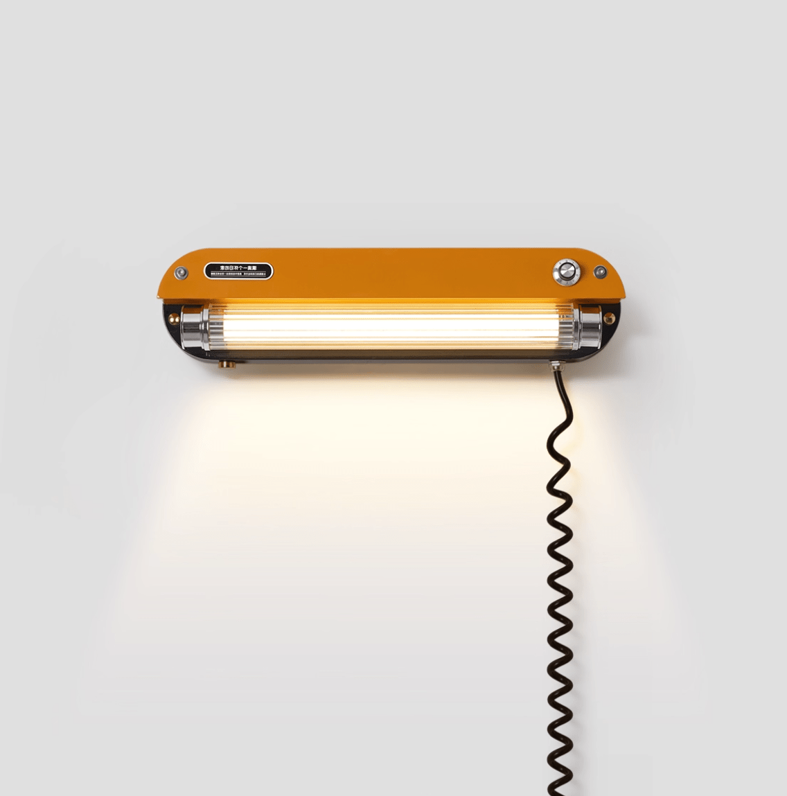 Edison Plug In Marlo Wall Lamp