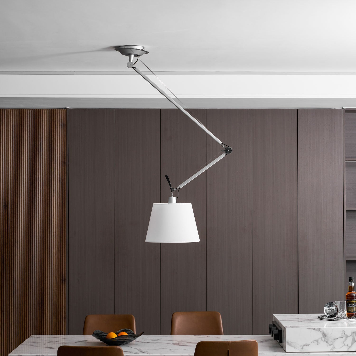 Rotatable Ceiling Pendant Light
