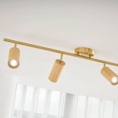 Rowan Ceiling Light